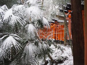 伏見稲荷大社　千本鳥居　冬