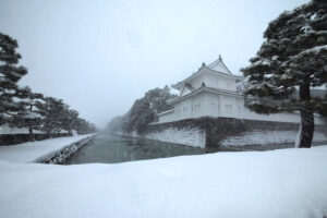 二条城　冬