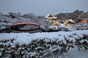神泉苑　法成橋　冬