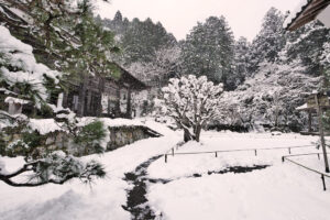 勝林院　冬